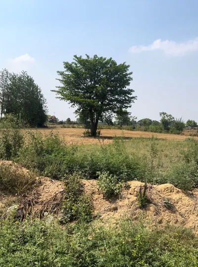 Mahvalipur, Jewar, Gautam Buddha Nagar, Uttar Pradesh, India preview 2