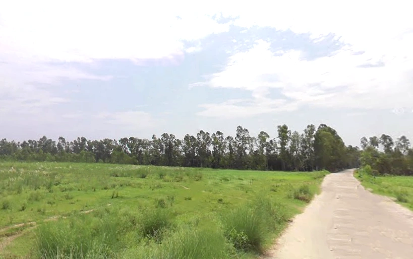 Badshahibagh, Uttar Pradesh 247122, India