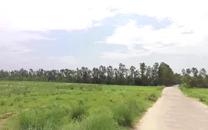 Badshahibagh, Uttar Pradesh 247122, India preview 3