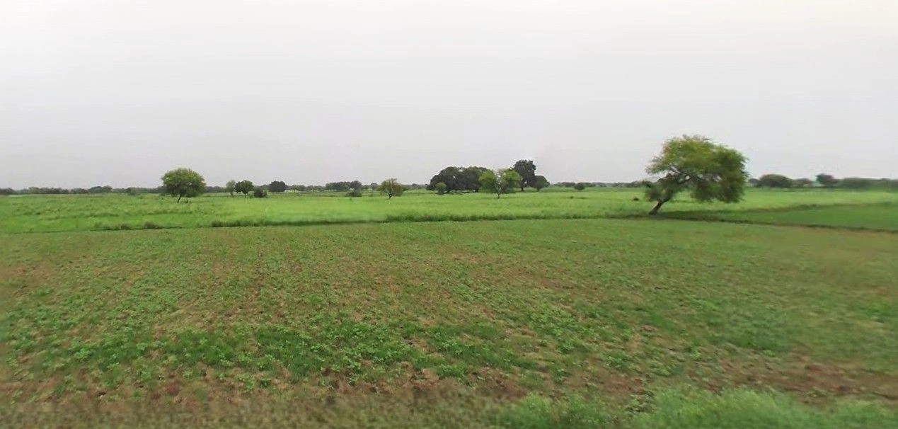 Bazpur, Uttarakhand 262401, India