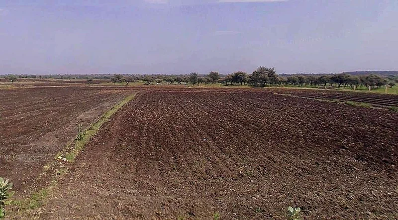 Dhamnoda, Madhya Pradesh 464226, India preview 2