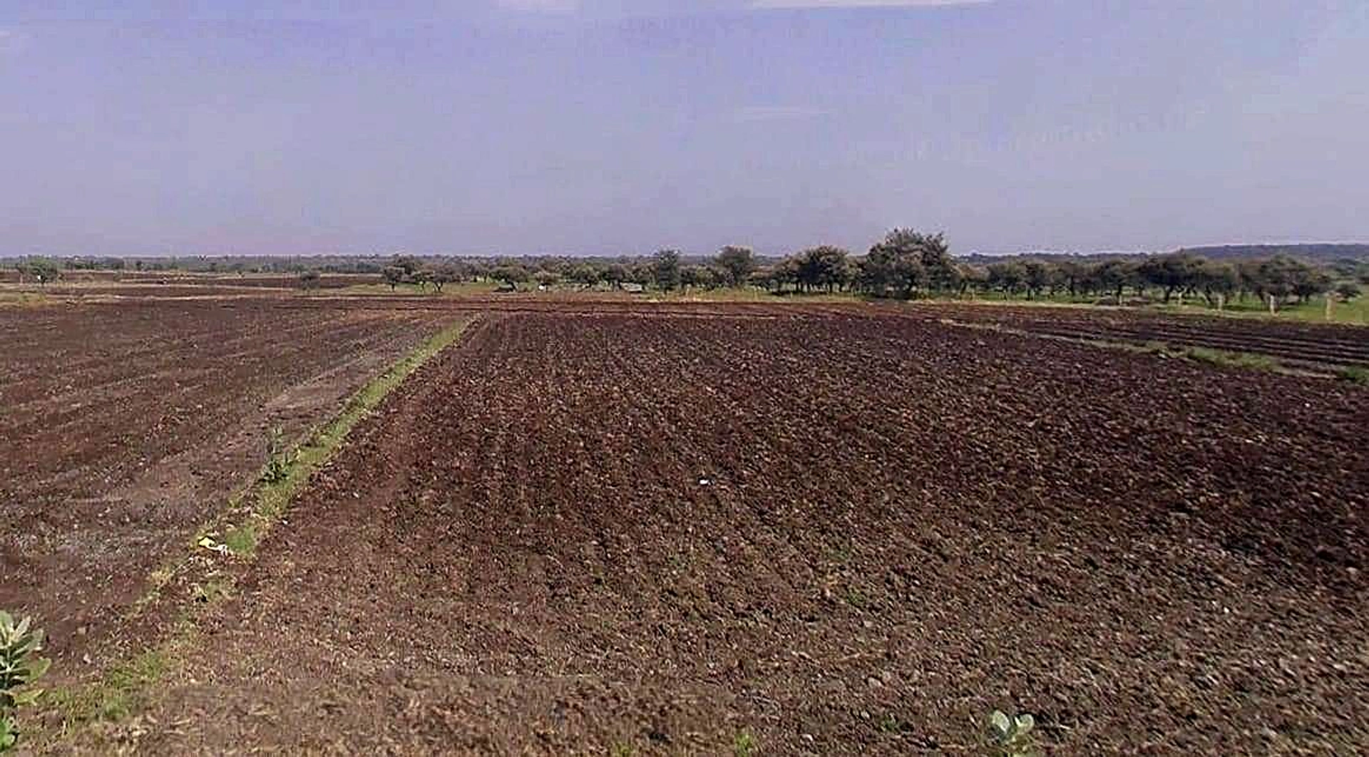 Dhamnoda, Madhya Pradesh 464226, India