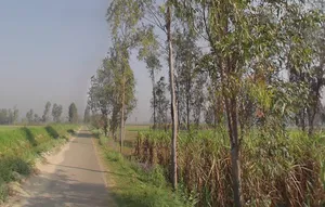 Mawana, Uttar Pradesh, India preview 2