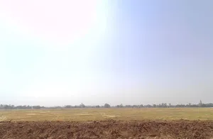 Ibrahimpur, Bihar 801109, India preview 3