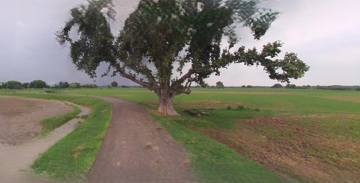 Rewari, Haryana 123401, India