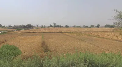 Atrauli, Uttar Pradesh, India preview 3