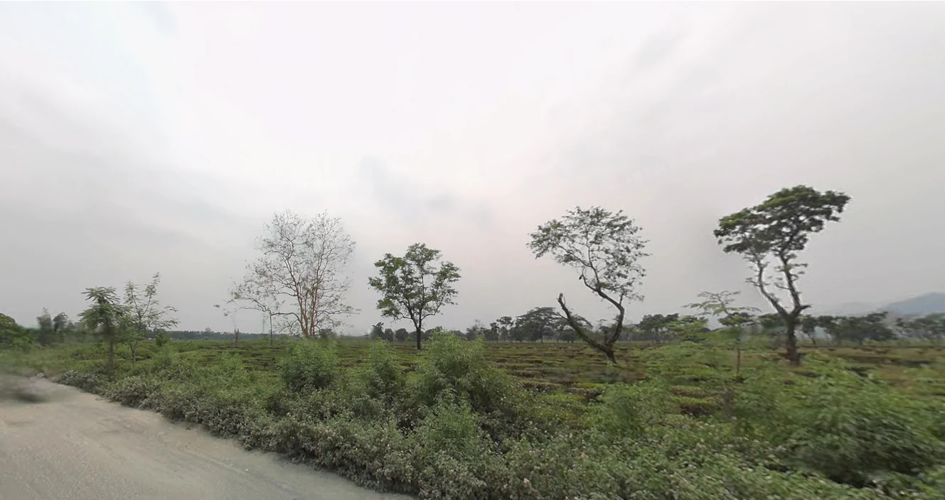 Bantala, Odisha 759129, India preview 2