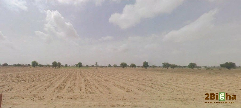 Bhanawatawala, Rajasthan 334808, India