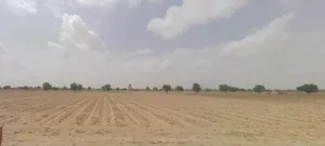 Bhanawatawala, Rajasthan 334808, India preview 2