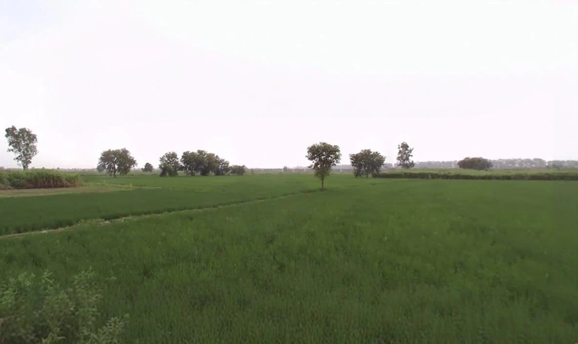 Khategaon, Madhya Pradesh 455336, India