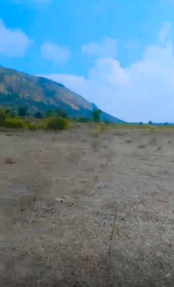 FGC6+JFH, Kali Khol, Rajasthan 301001, India