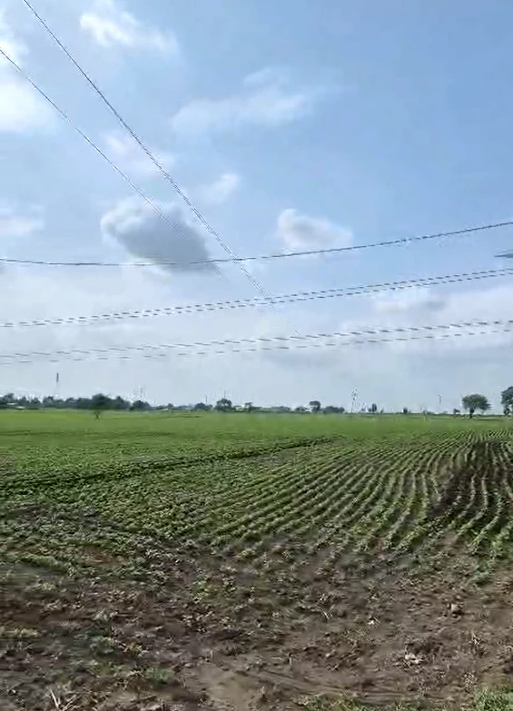 Gugaheri, Rohtak, Haryana 124513, India