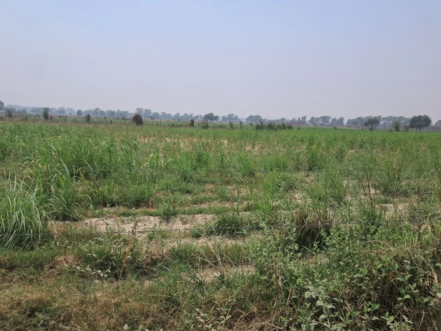 P3QG+QHM, Tajpur Kondra, Uttar Pradesh 224001, India