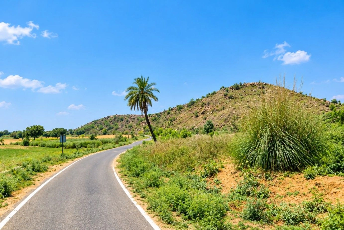 739G+6XF, Jaipur, Bobari - Gol Rd, Gol, Rajasthan 303120, India