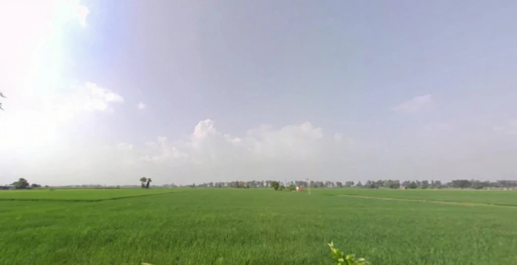 Garhi Bhalaur, Haryana, India