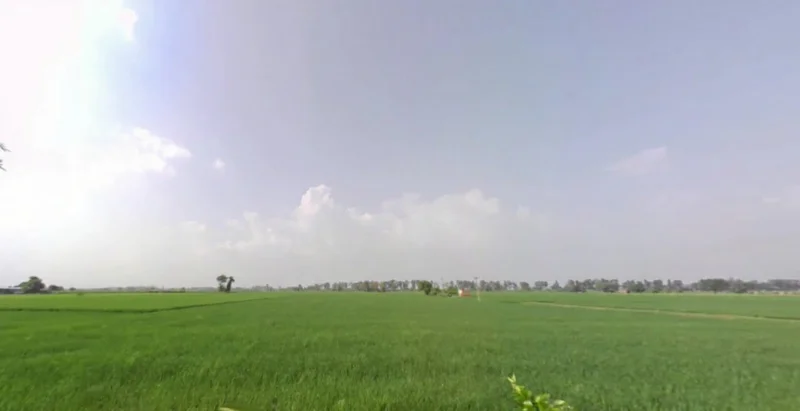 Garhi Bhalaur, Haryana, India preview 2