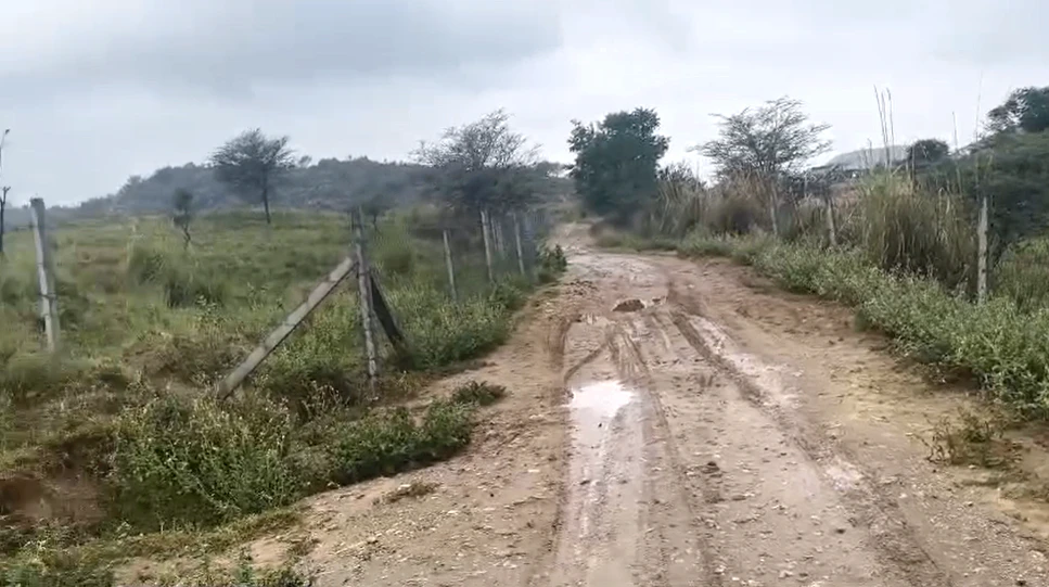 FJ35+6JH, Sikar, Shrimadhopur, Rajasthan 332715, India