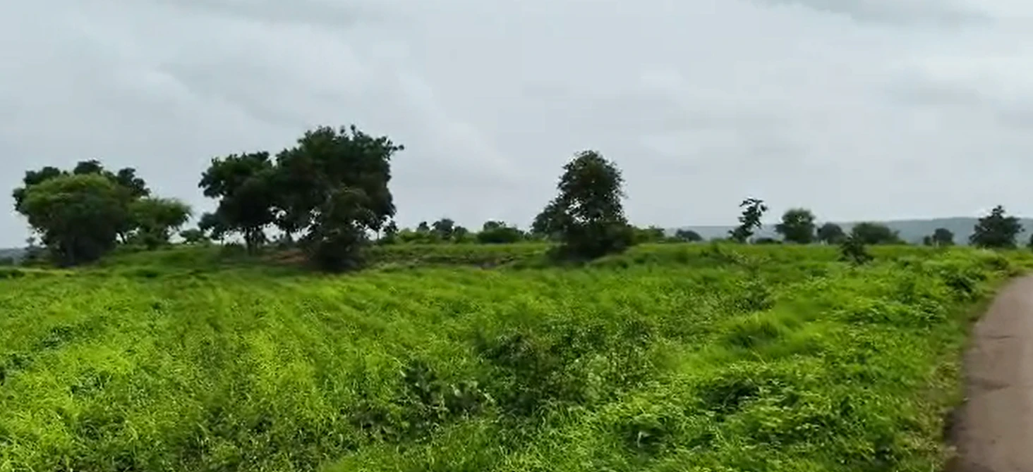 GQR9+4WH, Vikarabad, Marpalle Kalan, Telangana 501202, India