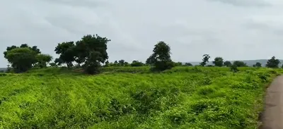 GQR9+4WH, Vikarabad, Marpalle Kalan, Telangana 501202, India preview 2