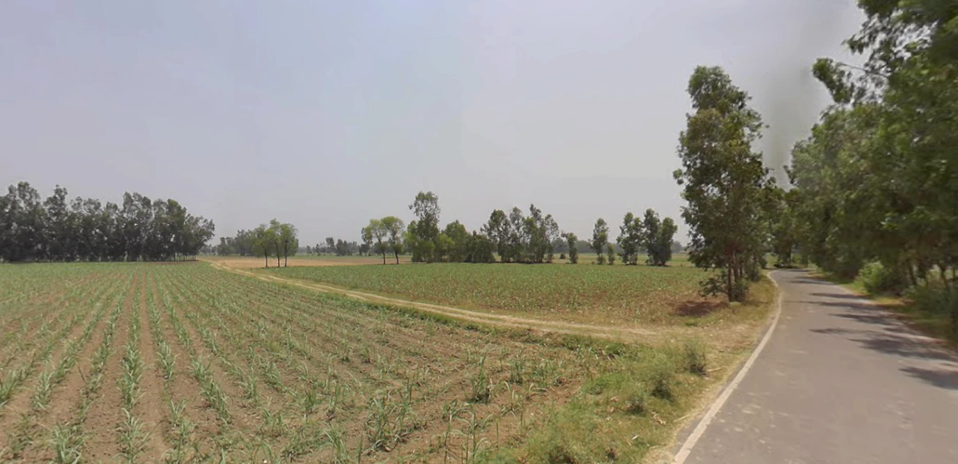 Dhanaura, Uttar Pradesh 244231, India