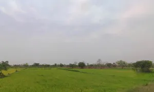 Rajnandgaon, Chhattisgarh 491441, India preview 2