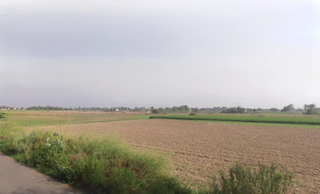 Khabran Kalan, Haryana 125053, India