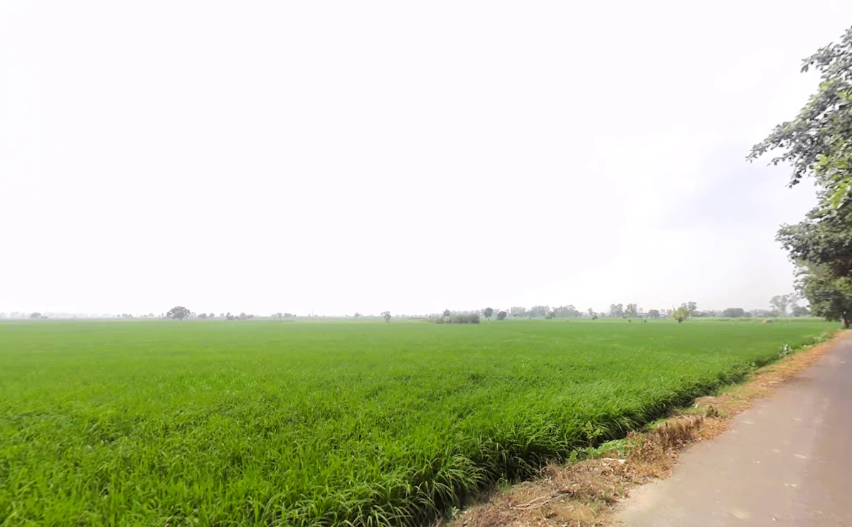 Pharal, Haryana 136021, India preview 2