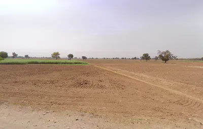 Sanjarpur, Haryana, India preview 3