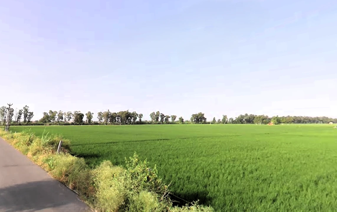 Tosham Rural, Haryana 127040, India