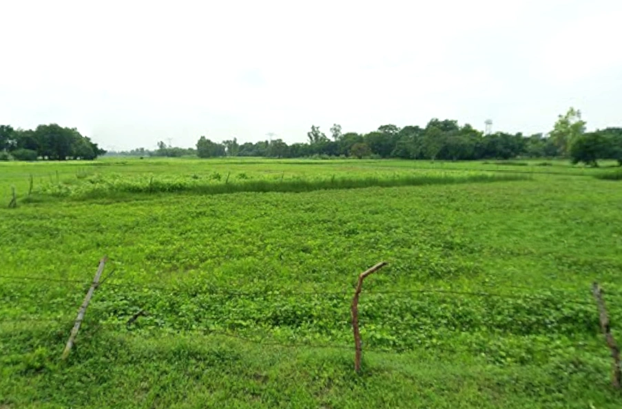 Kateharo, Uttar Pradesh 209859, India