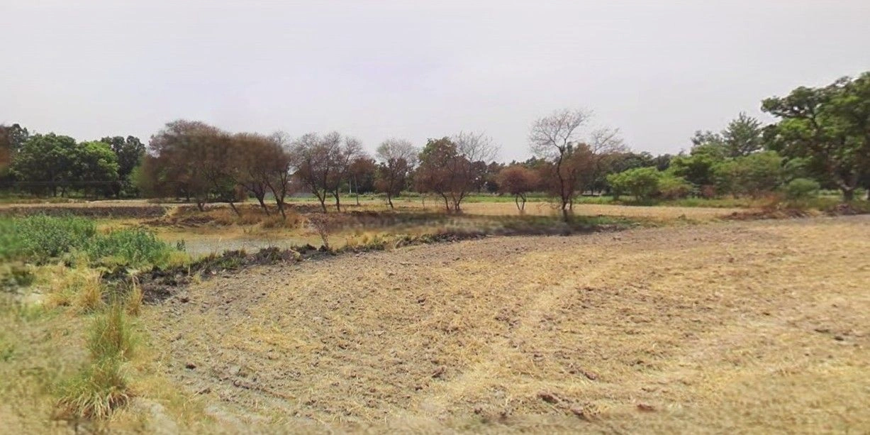 Jewar, Uttar Pradesh 203135, India