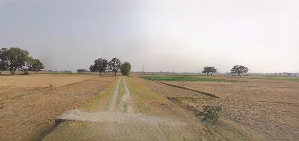 Charkhi Dadri, Haryana 127306, India
