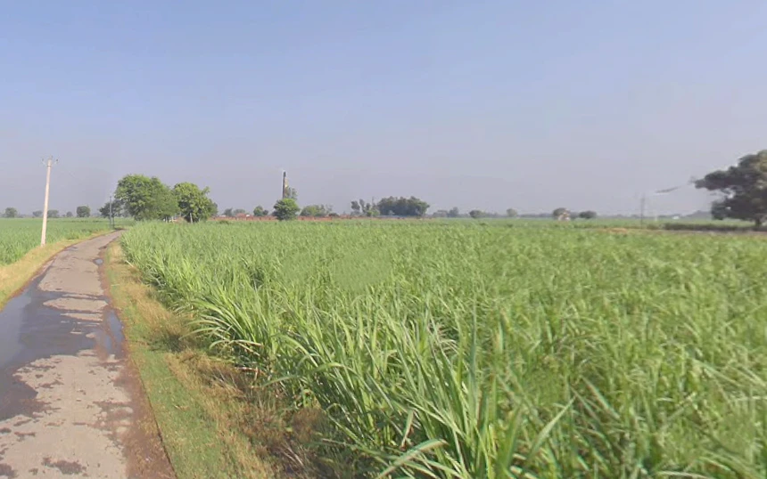 Dhanaura, Uttar Pradesh 244231, India