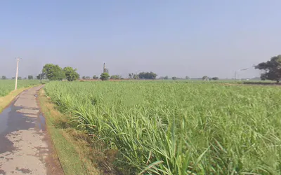 Dhanaura, Uttar Pradesh 244231, India preview 3