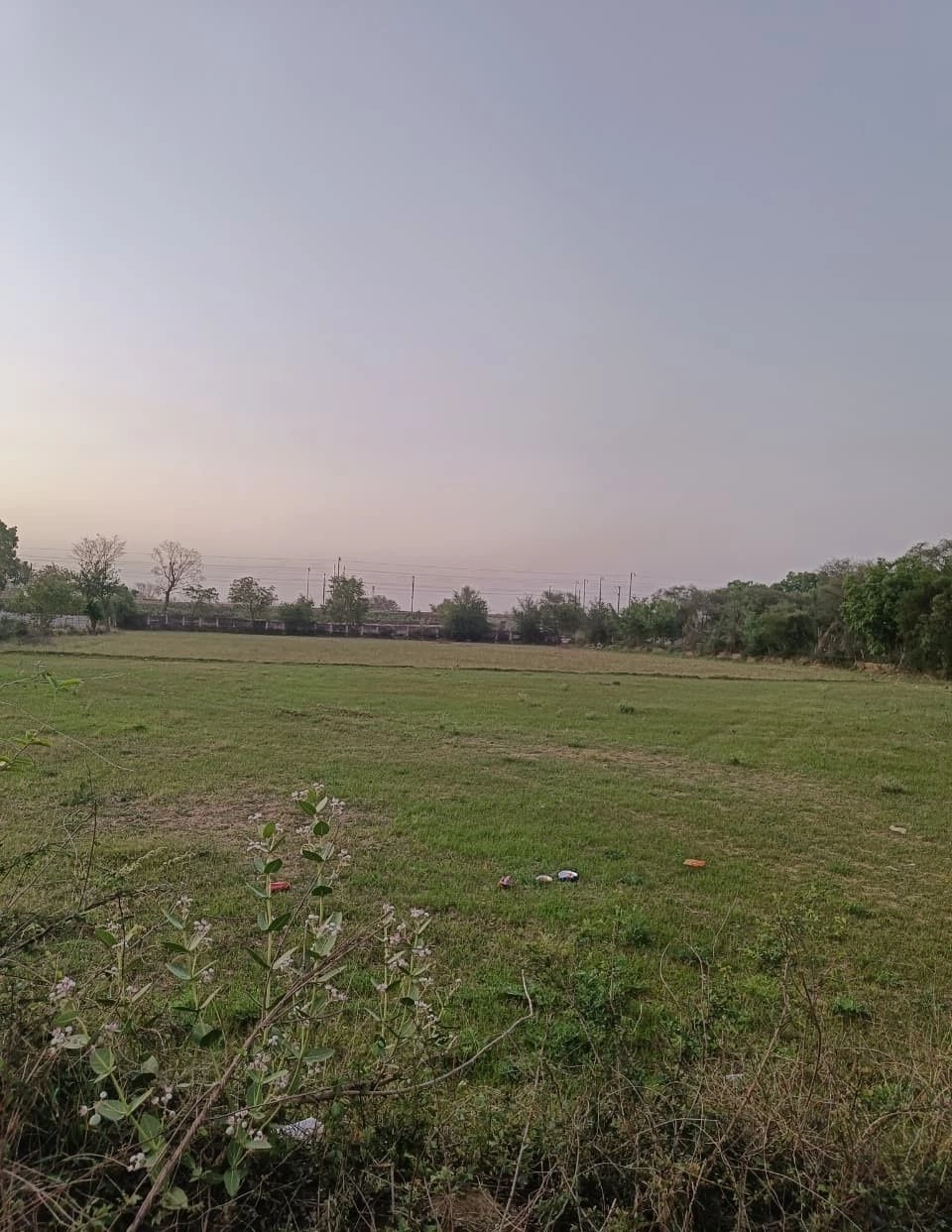 Mei, Rajasthan, India