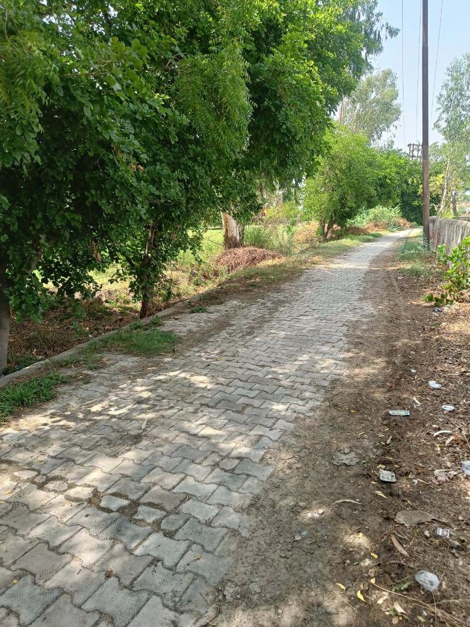 Gauhari, Uttar Pradesh 281401, India