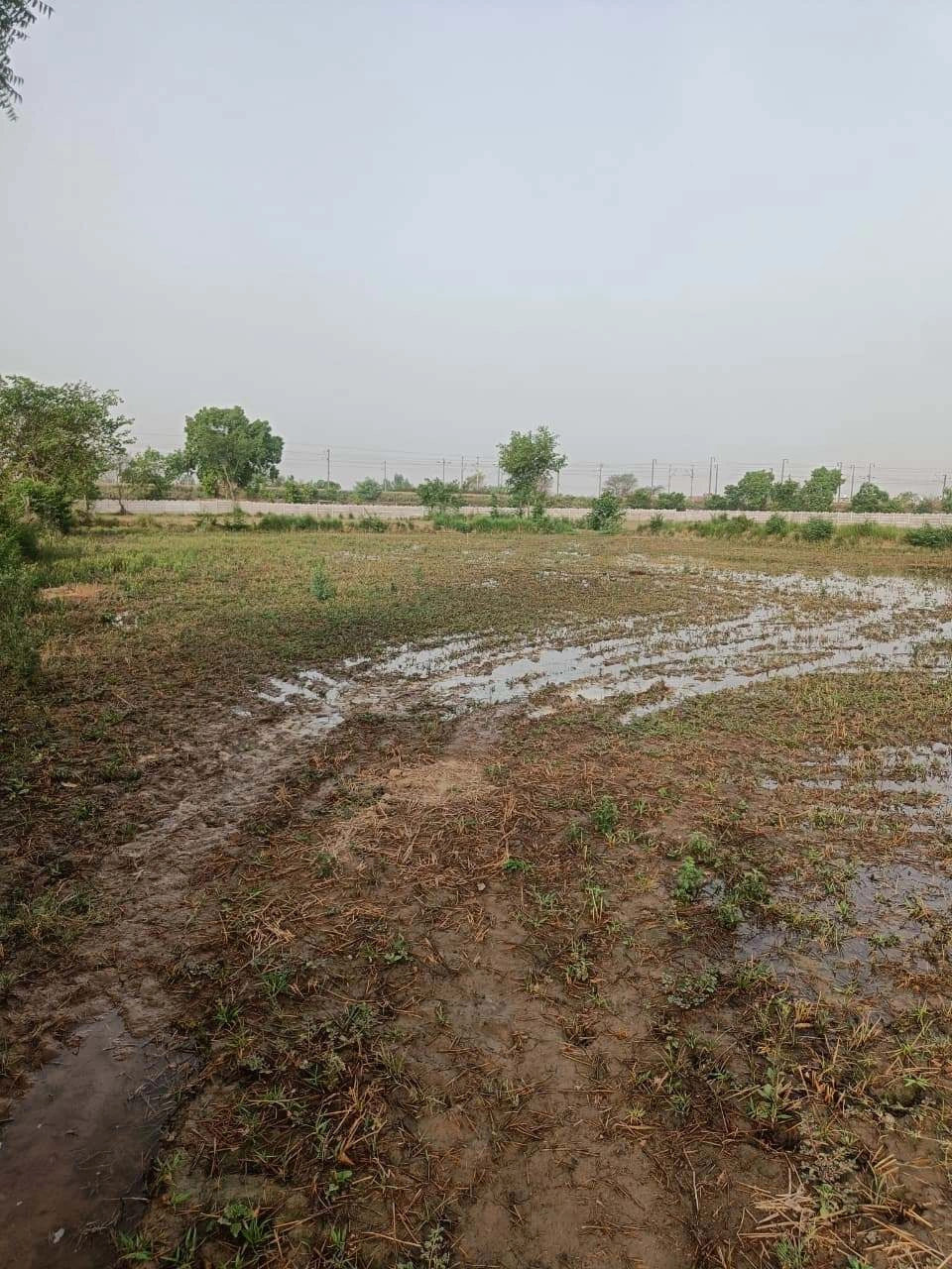 Ajhai Kalan, Uttar Pradesh 281406, India