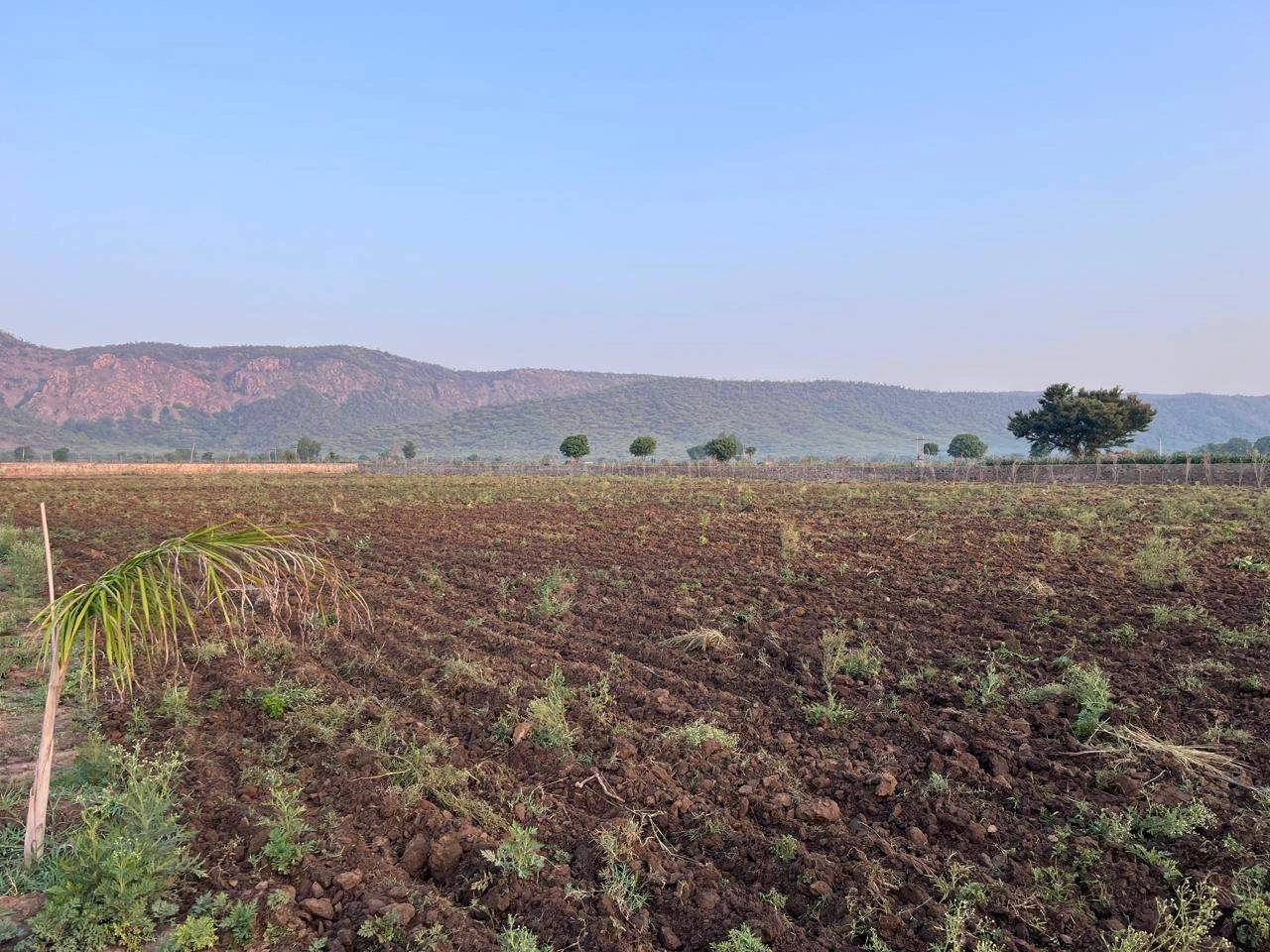 HFWC+W9 Rundh Sundarwas, Rajasthan, India preview 5