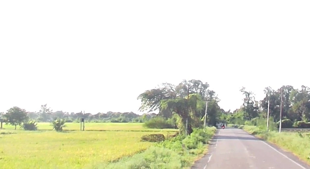 Dhanora, Madhya Pradesh 480999, India