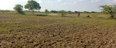 Mahlan, Rajasthan 303007, India preview 4