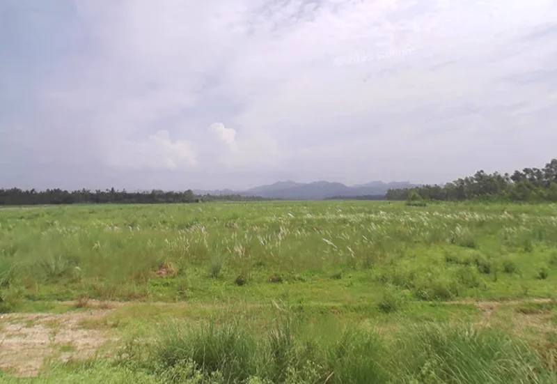 Badshahibagh, Uttar Pradesh 247122, India preview 2