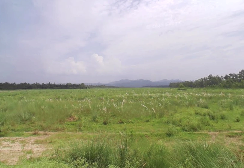 Badshahibagh, Uttar Pradesh 247122, India