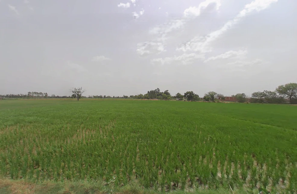 Kokilavana, Uttar Pradesh 281403, India