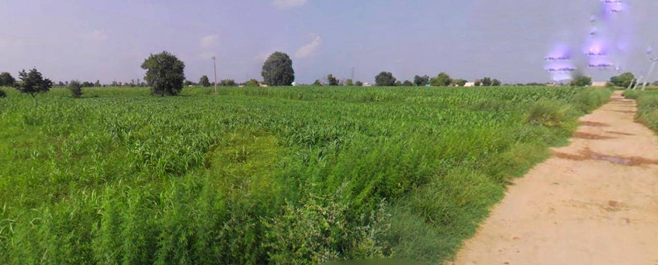 Jhajjar, Haryana 124103, India