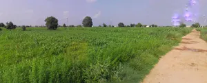 Jhajjar, Haryana 124103, India preview 3