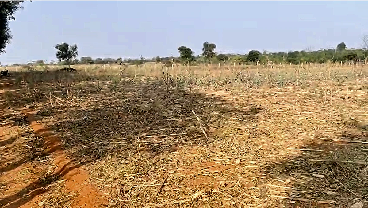 5C8F+PQ Naranagepalle, Andhra Pradesh, India