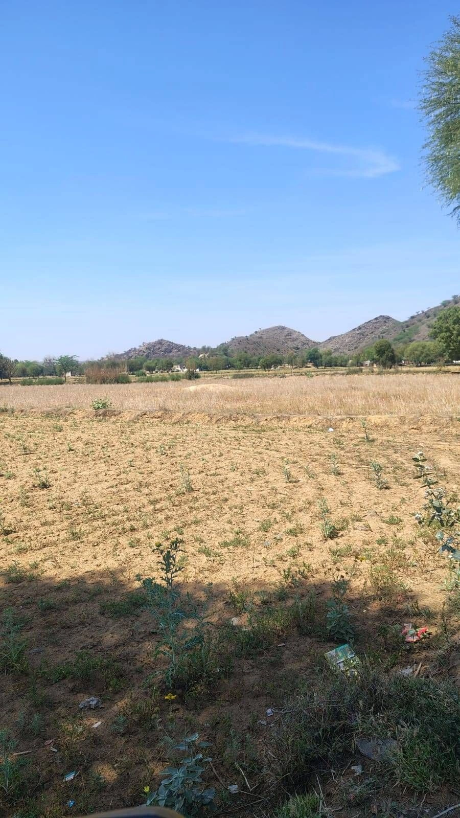 Pinan, Rajasthan, India
