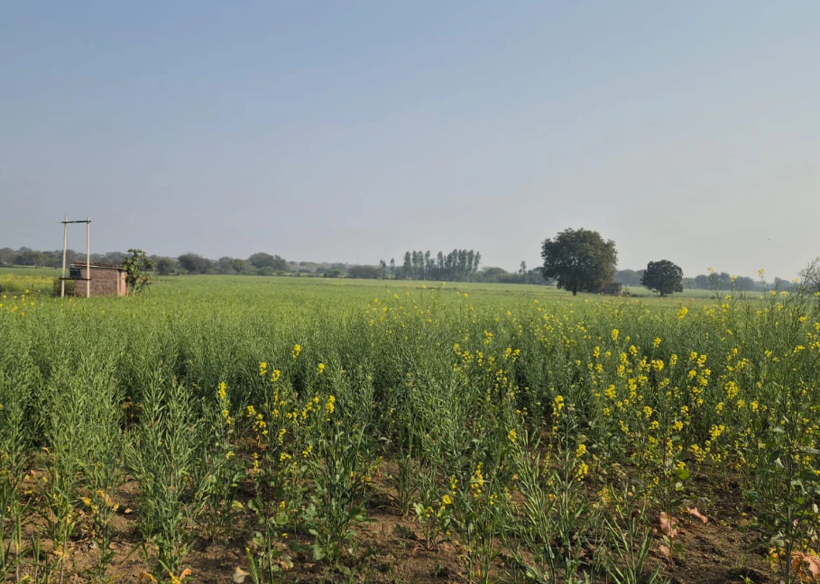 VM86+89 Indrapura, Hamirpur, Uttar Pradesh, India - Photo 3