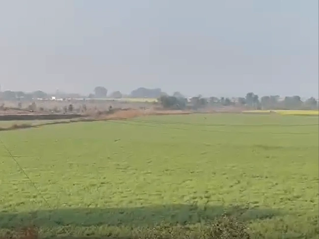 Barigarh, Chhatarpur, Madhya Pradesh 471510, India - Photo 3