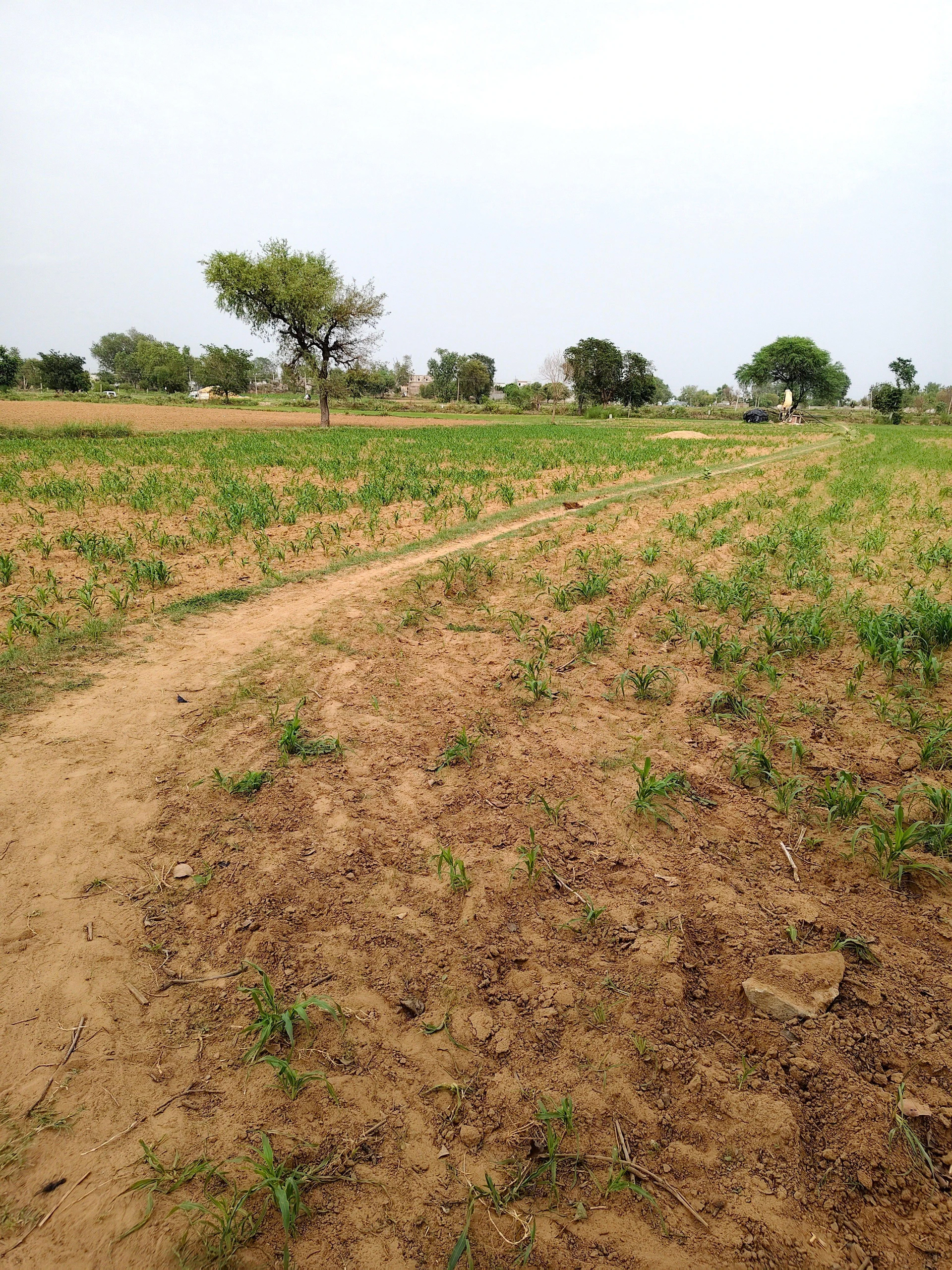 Resti, Rajasthan 301021, India